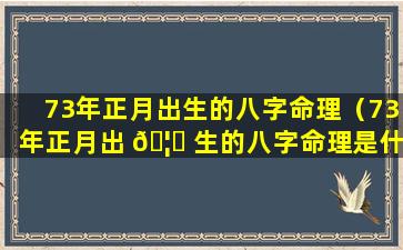 73年正月出生的八字命理（73年正月出 🦈 生的八字命理是什么）